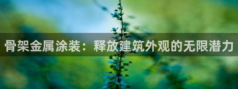 美高梅哪个集团的
