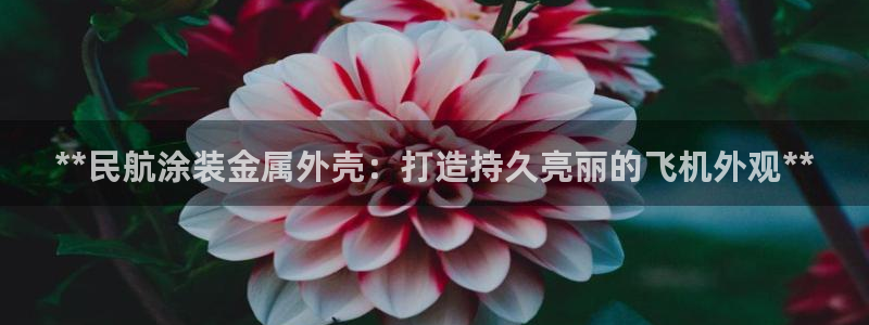 美高梅直营正网