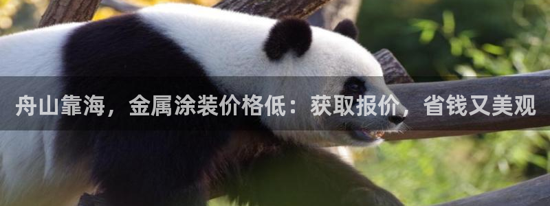 美高梅酒店拖鞋
