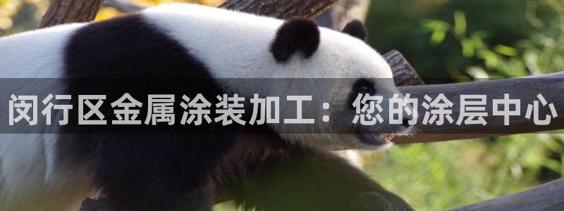 美高梅筹码图片