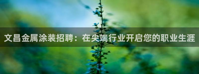 美高梅何超琼持股多少