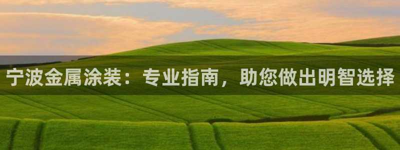 美高梅公司发展历程