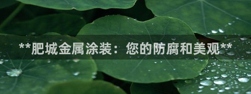 美高梅何超琼多少股份