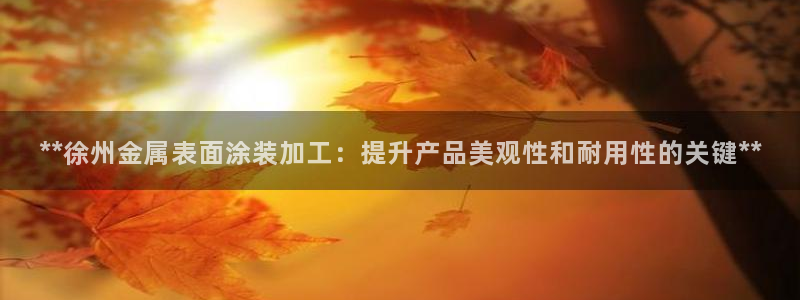 美高梅是个什么公司