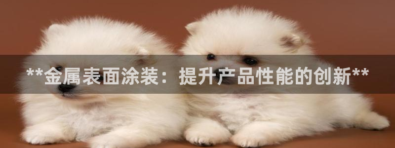 美高梅北京丰台