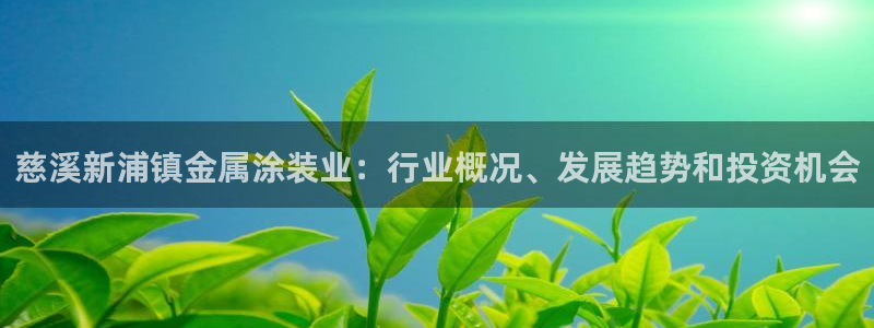 美高梅是美国的还是澳门的