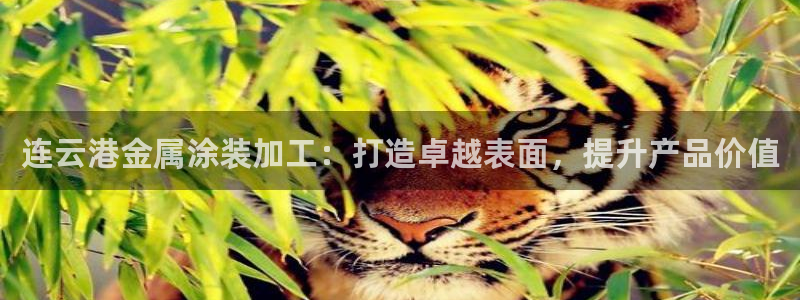 美高梅别墅是精装吗