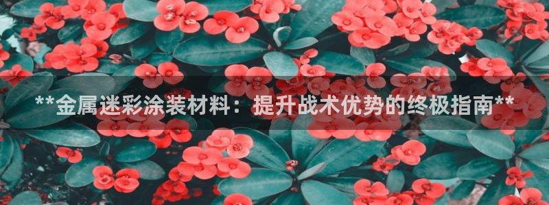 美高梅筹码最低多少钱一天