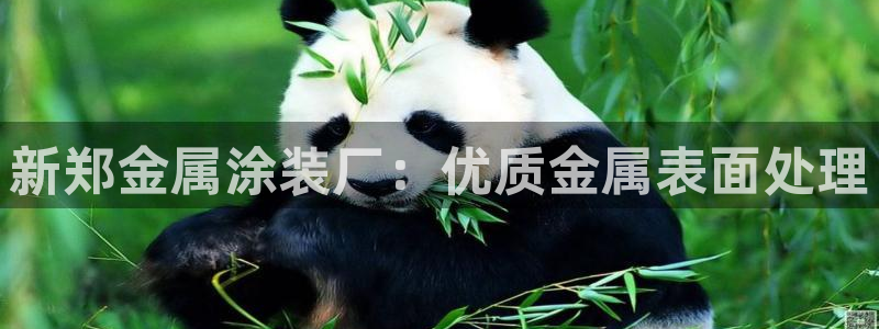 美狮美高梅酒店谁开的