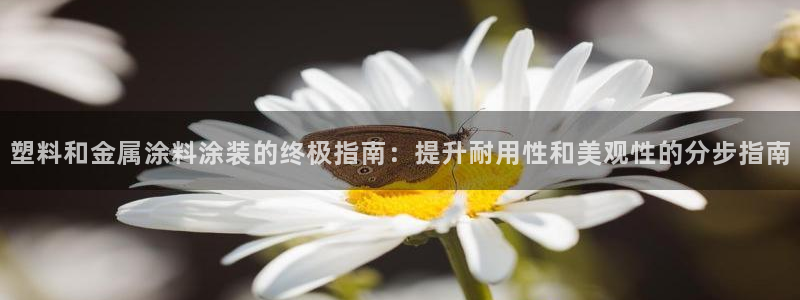 美高梅网络科技有限公司