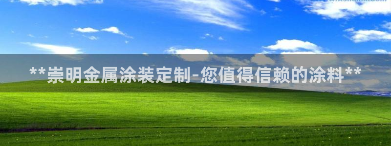 何超琼美高梅持股