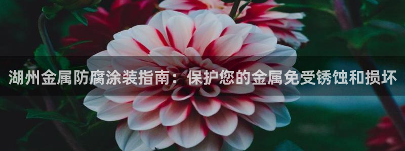 美高梅酒店案件