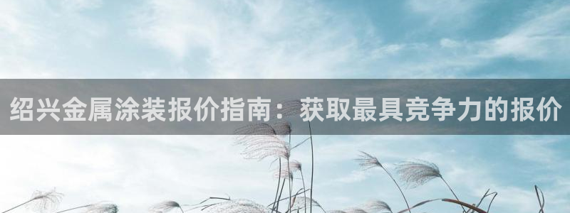 美高梅集团公司