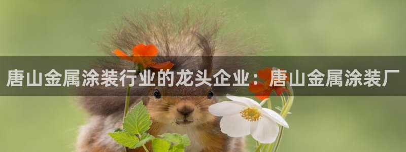 美高梅小梅沙招聘