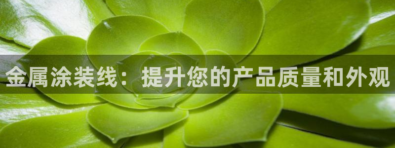 美高梅公司的社会信用代码查询