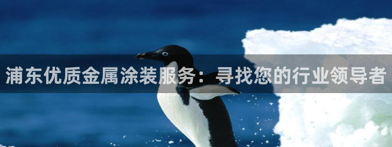 美高梅酒店上海