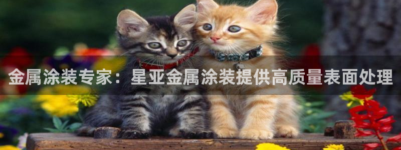 美高梅酒店有多少层高