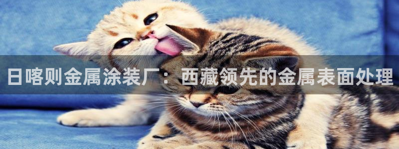 美高梅酒店人员是如何的培训
