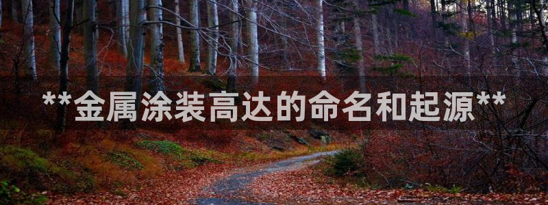 何超琼的美高梅