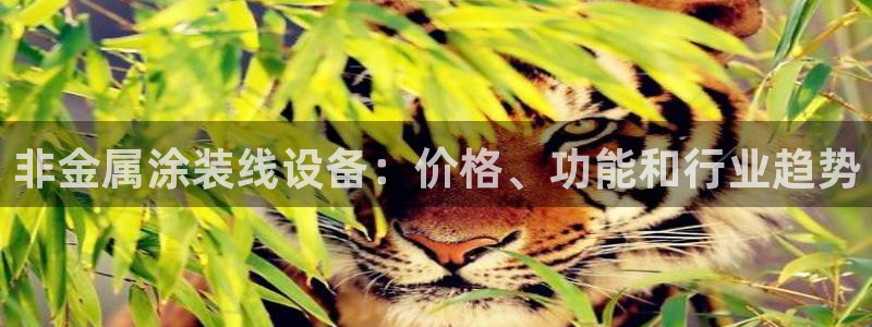 美高梅酒店空中海洋秀