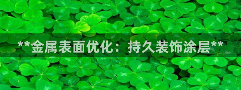美高梅外套