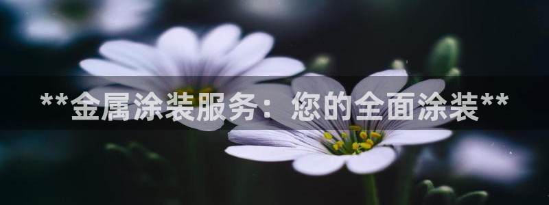 美高梅酒店vogue杂志