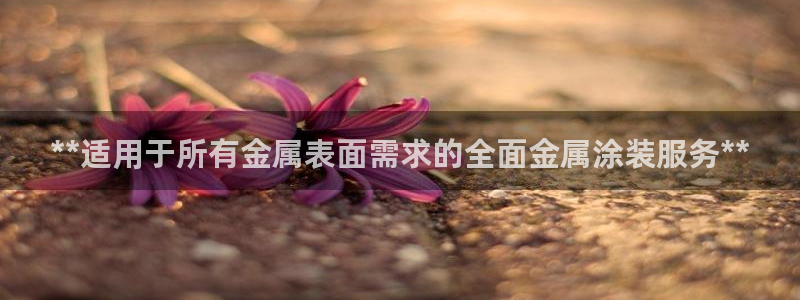 美高梅卡是什么