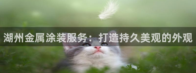 美高梅公司何超琼