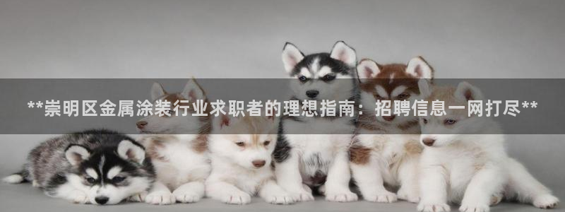 美高梅酒店年卡