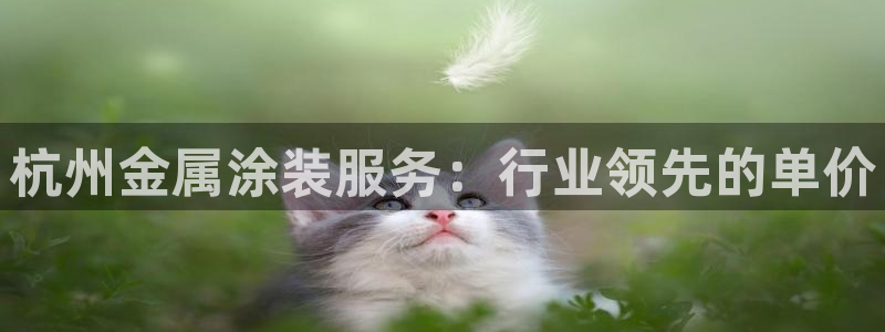 美高梅入职面试