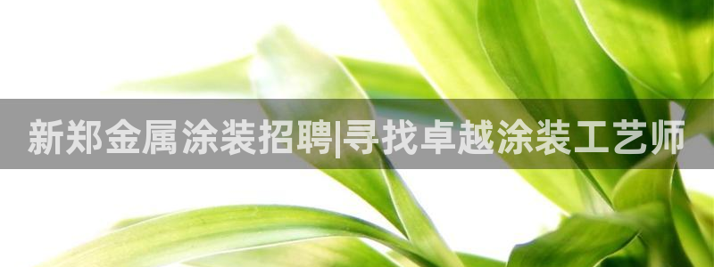 美高梅酒店星级