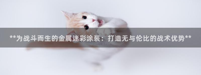 美高梅集团公司