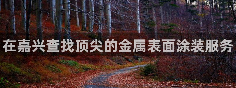 美狮美高梅酒店发财车
