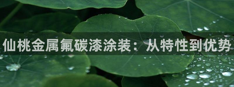 美高梅酒店多少钱一晚上海