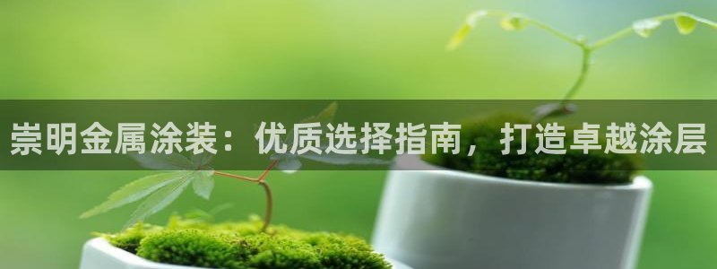 美狮美高梅酒店武汉有吗