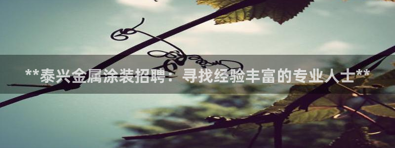 美高梅租房