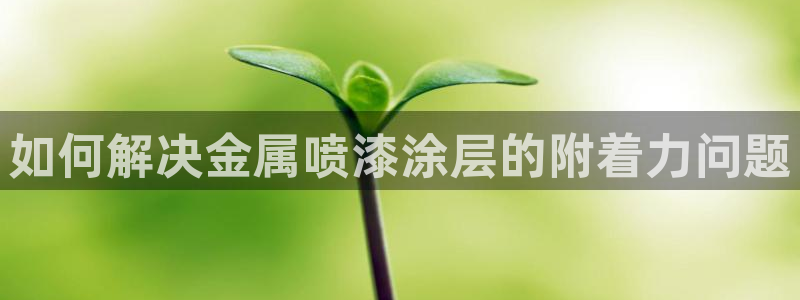 美高梅咖啡多少钱一杯啊