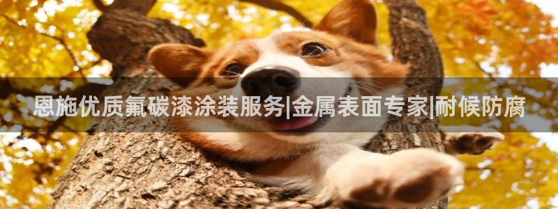 美狮美高梅酒店附近吃的