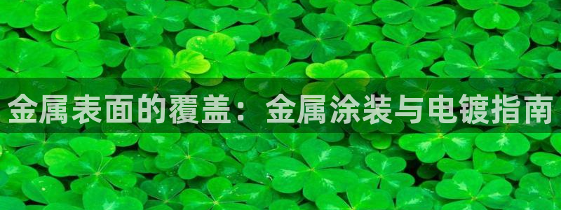 美高梅软件开发创始人
