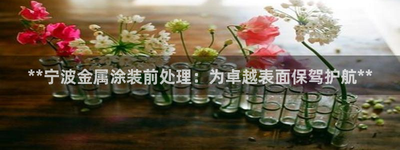 美高梅酒店集团怎么样