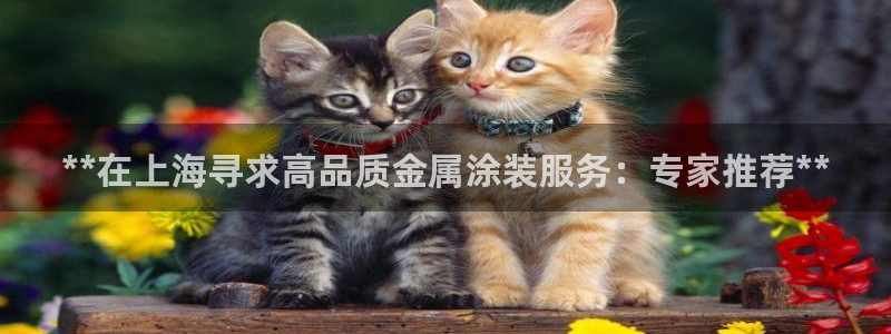 美高梅会员卡排序怎么排