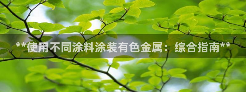 美高梅酒店的由来