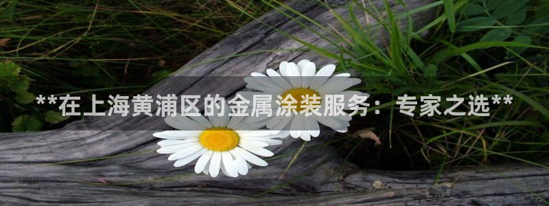 美高梅酒店全年自助