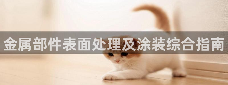 美高梅商场几点开门营业