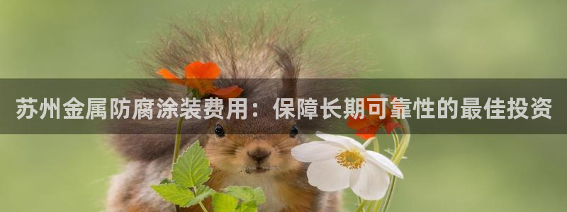 美高梅酒店特点