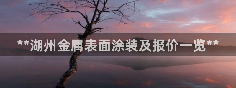 美高梅何超琼香港女首富