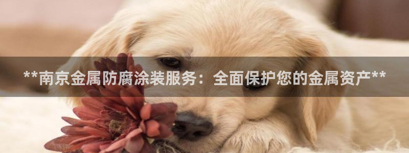 美高梅酒店集团旗下品牌有哪些