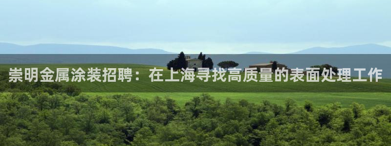 美高梅几星级酒店?