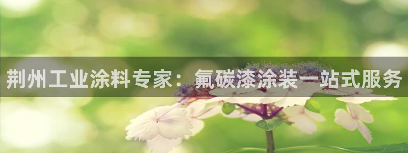 美狮美高梅和美高梅区别