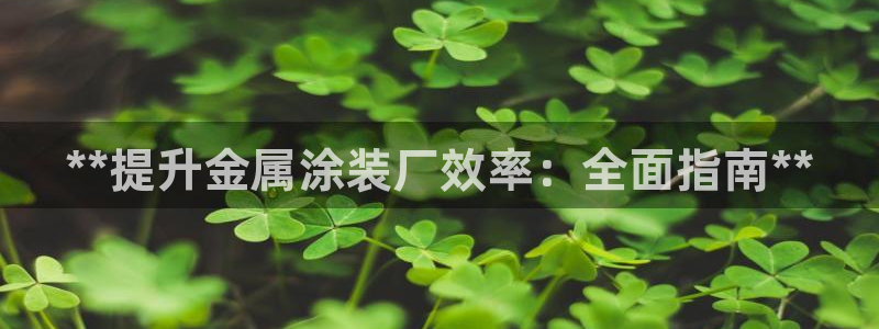美高梅筹码图片